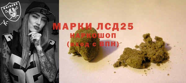 гашик Кулебаки