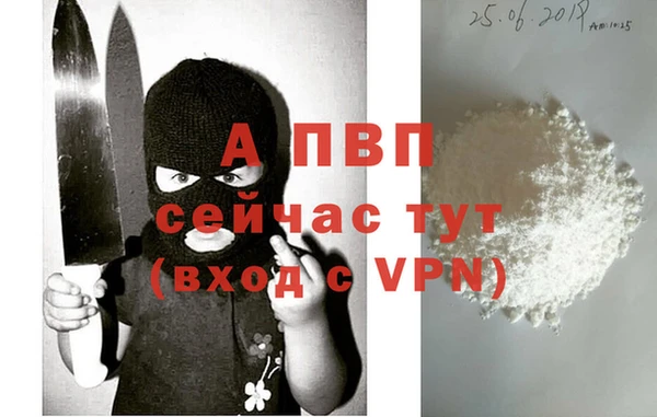 гашик Кулебаки