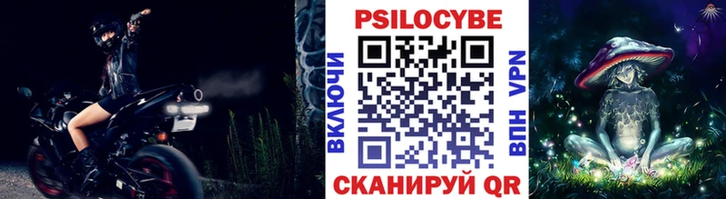 Псилоцибиновые грибы Psilocybine cubensis  Купить  Красноперекопск 